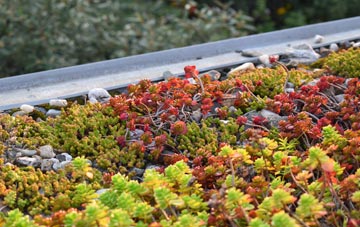 the cost of Cutteslowe green roof installation