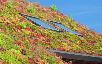 Cutteslowe living roof systems