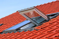 Cutteslowe roof window